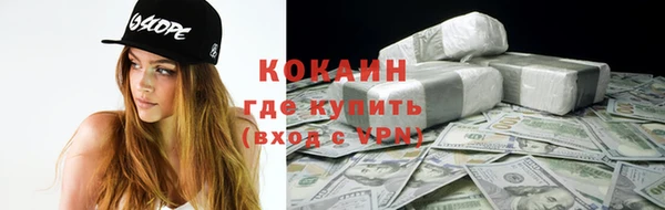 стаф Аркадак