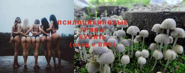 а пвп мука Балабаново