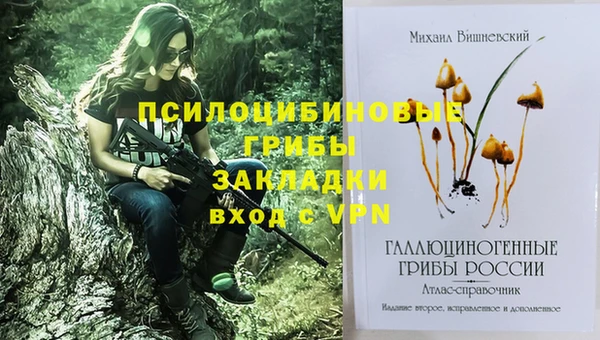 spice Белоозёрский