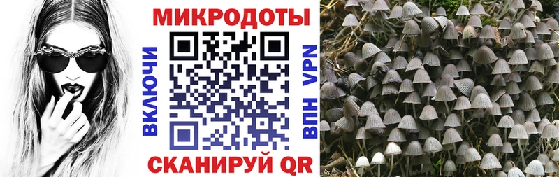 мега онион  Мантурово  Галлюциногенные грибы Cubensis 